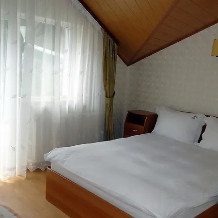 Bogdana Сasa de vacaciones Predeal
