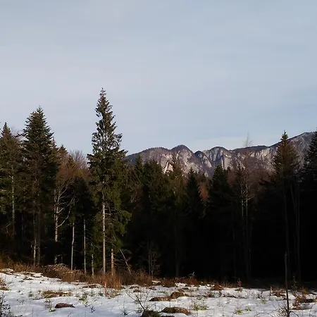 Сasa de vacaciones Bogdana Predeal