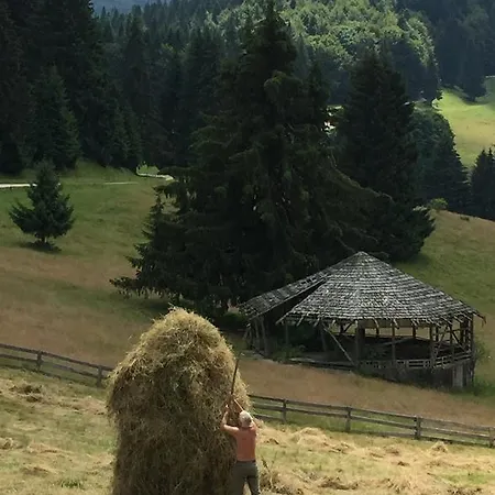 Сasa de vacaciones Bogdana Predeal