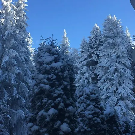 Bogdana Сasa de vacaciones Predeal