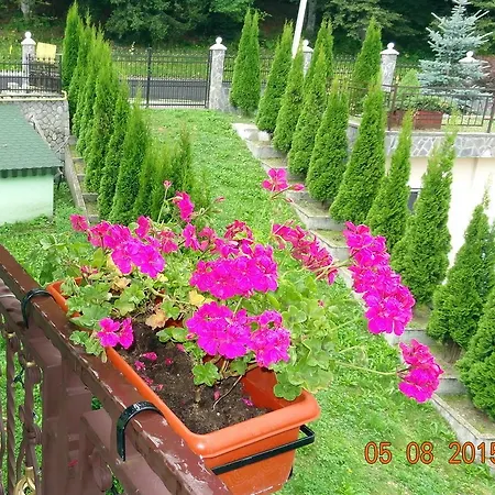 Bogdana Сasa de vacaciones Predeal